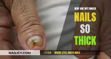 Thick, Strong, Healthy: Understanding Your Nail Growth