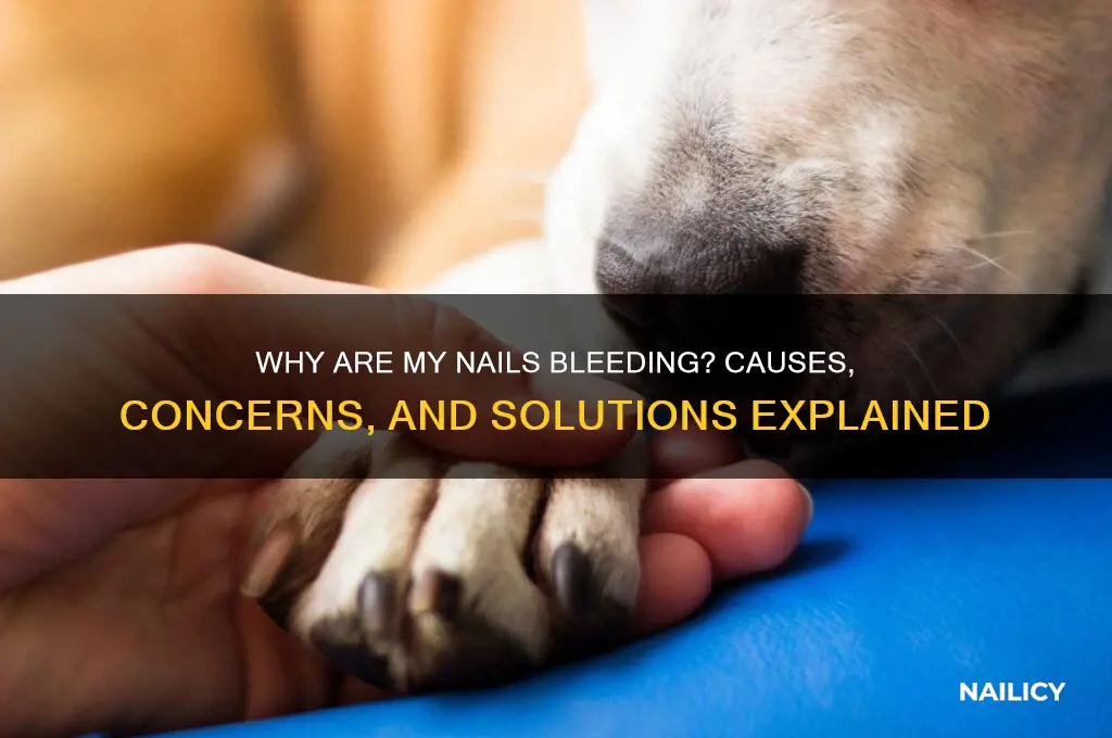 why are my nails bleeding