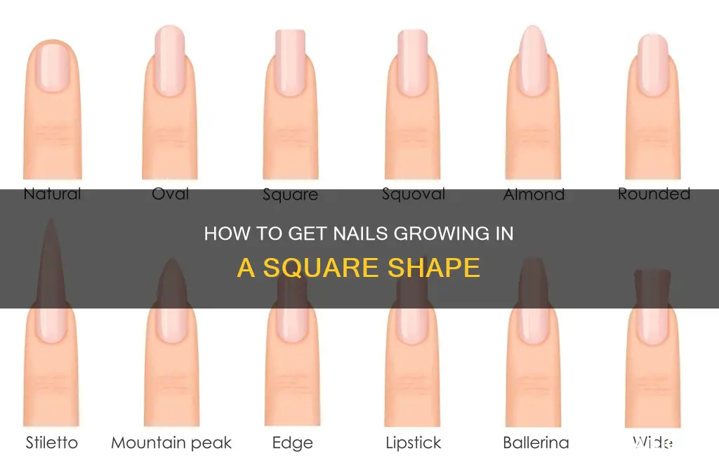 why are my nails growing square