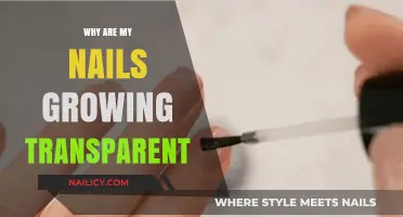 Nail Transparency: What Does it Mean?
