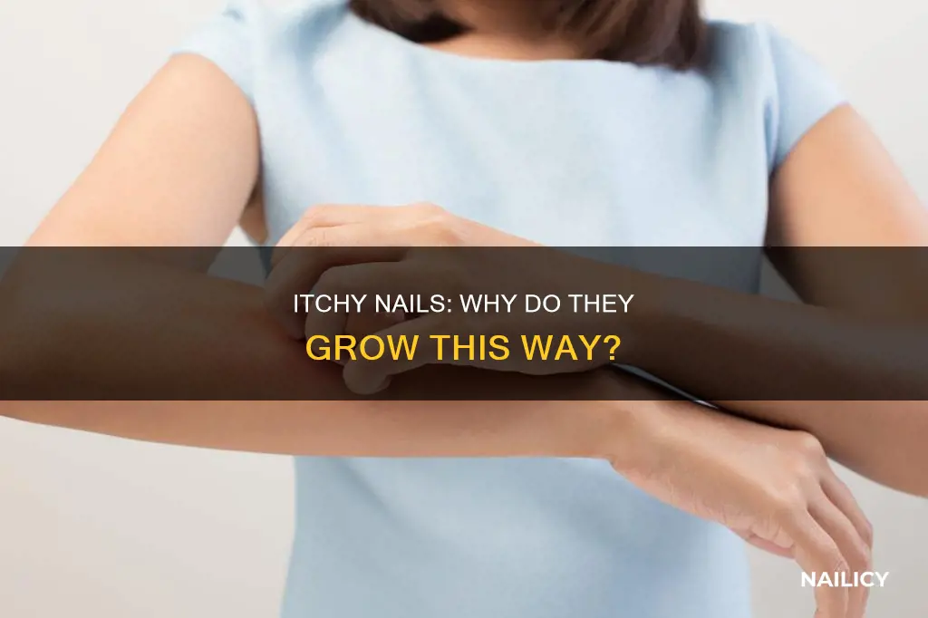 why are my nails itchy growing