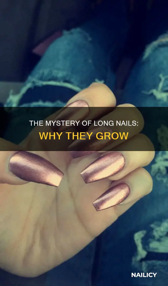why are my nails long