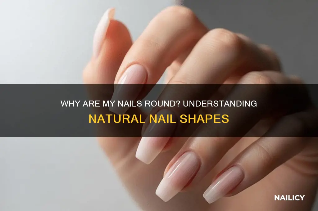 why are my nails round