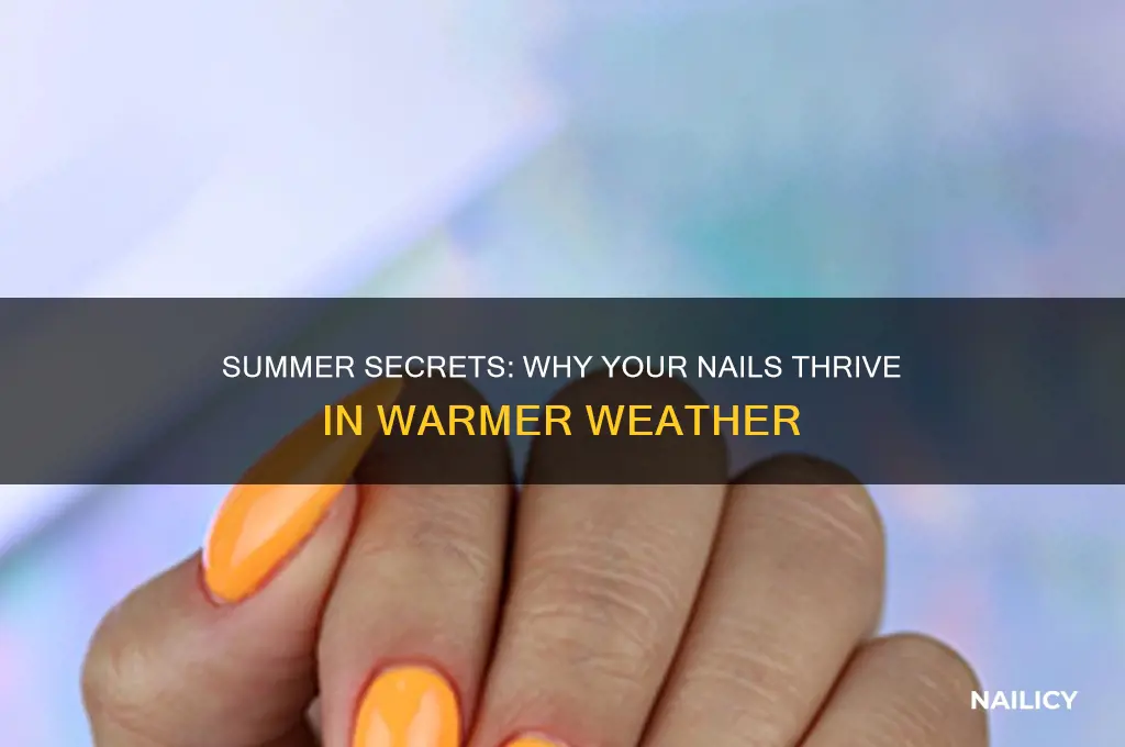 why are my nails stronger in summer