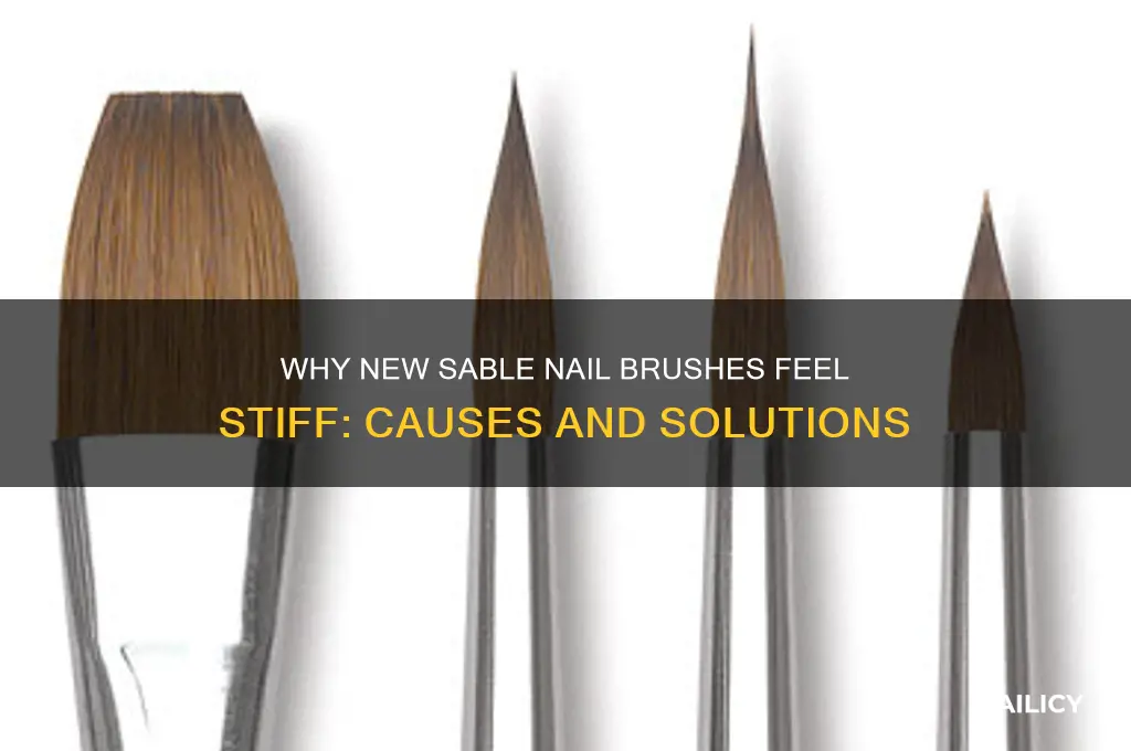 why are my new sable nail brushes stiff