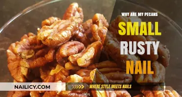 Small Rusty Pecans: Causes and Solutions for Your Tree's Nuts