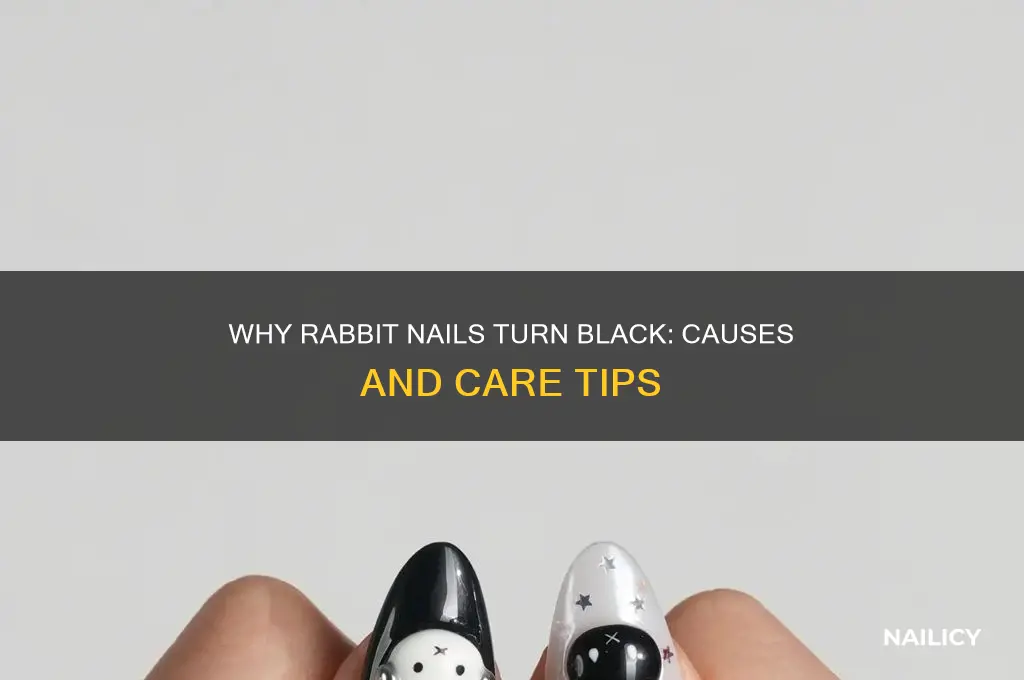 why are my rabbit nails turning black