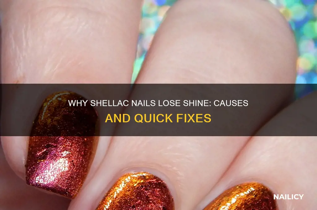 why are my shellac nails not shiny