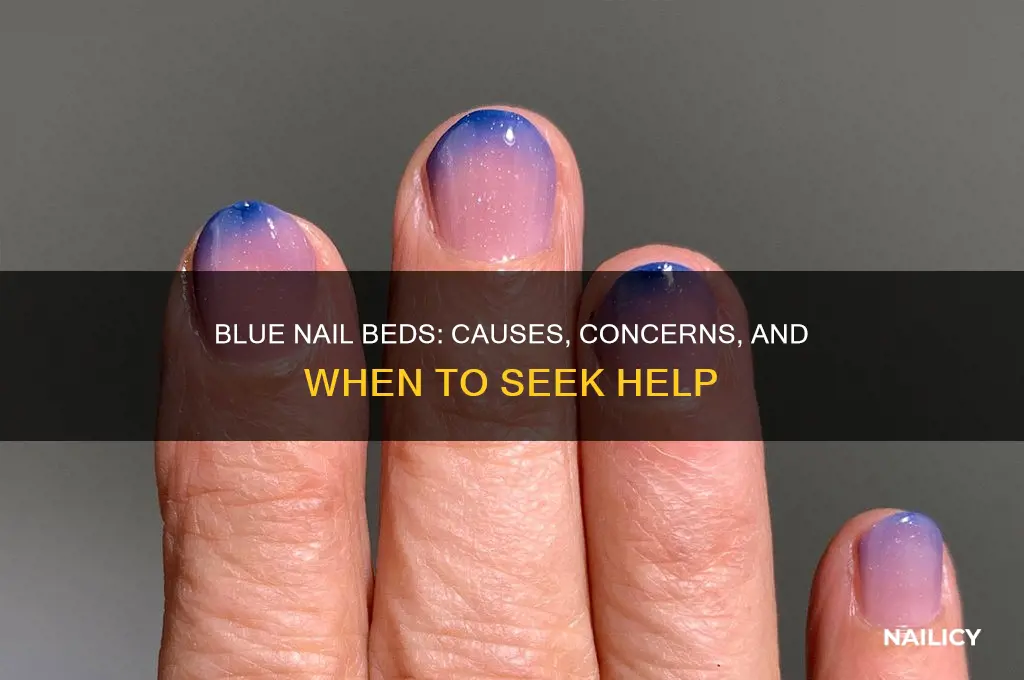 why are nail beds blue