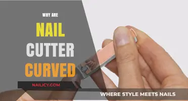 Why Nail Cutters Are Curved: The Science Behind Their Design