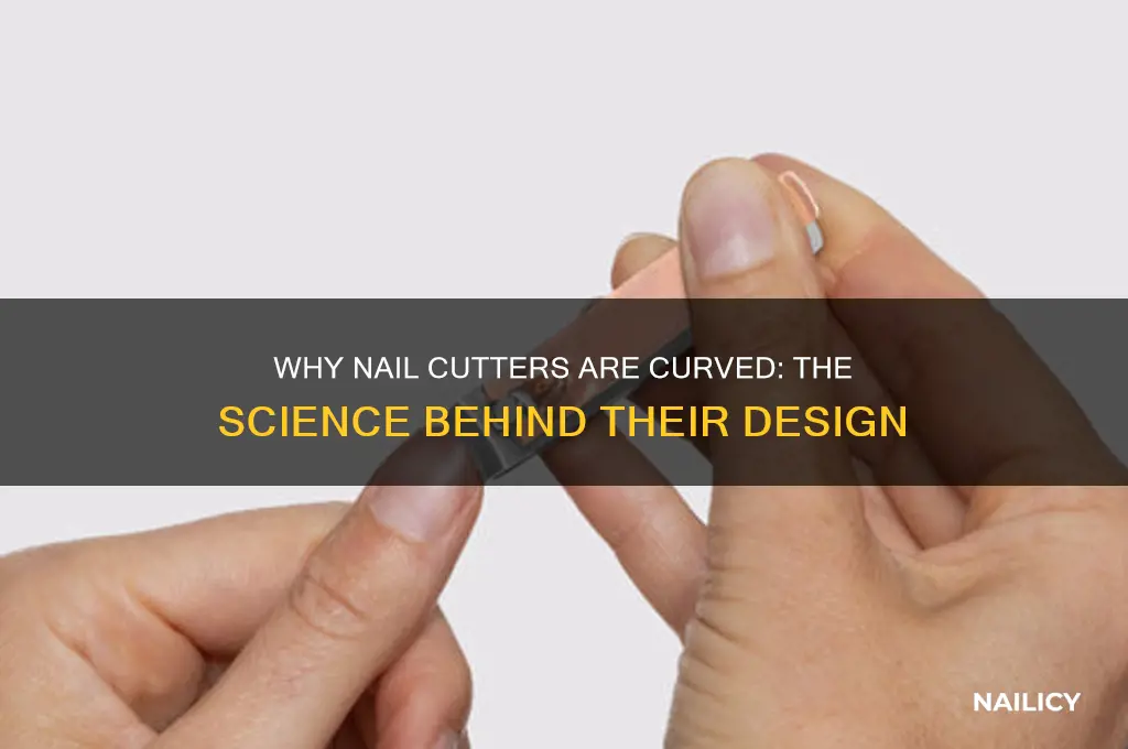 why are nail cutter curved