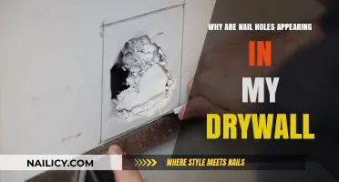 Nail Holes in Drywall: Causes, Prevention, and Repair Solutions