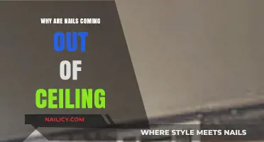 Nails Popping Out of Ceiling: Causes and Quick Fixes Explained
