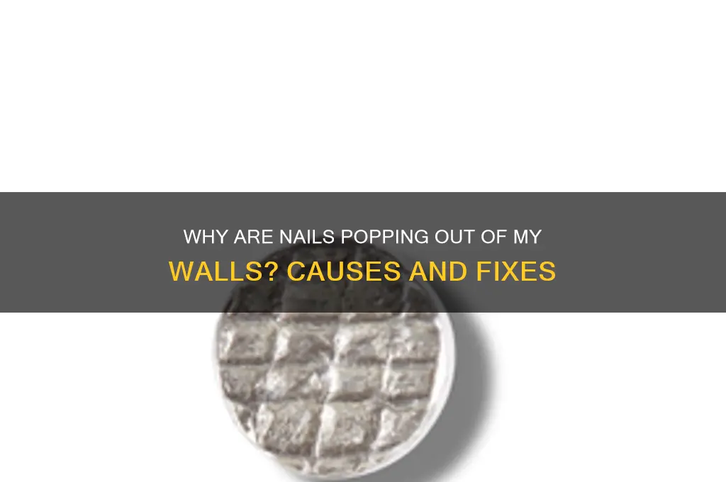 why are nails coming out of my walls