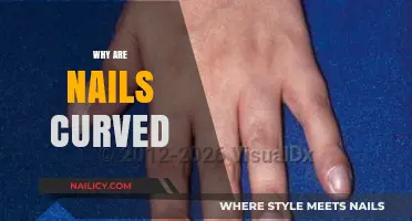 Why Are Nails Curved? Exploring the Science Behind Nail Shape