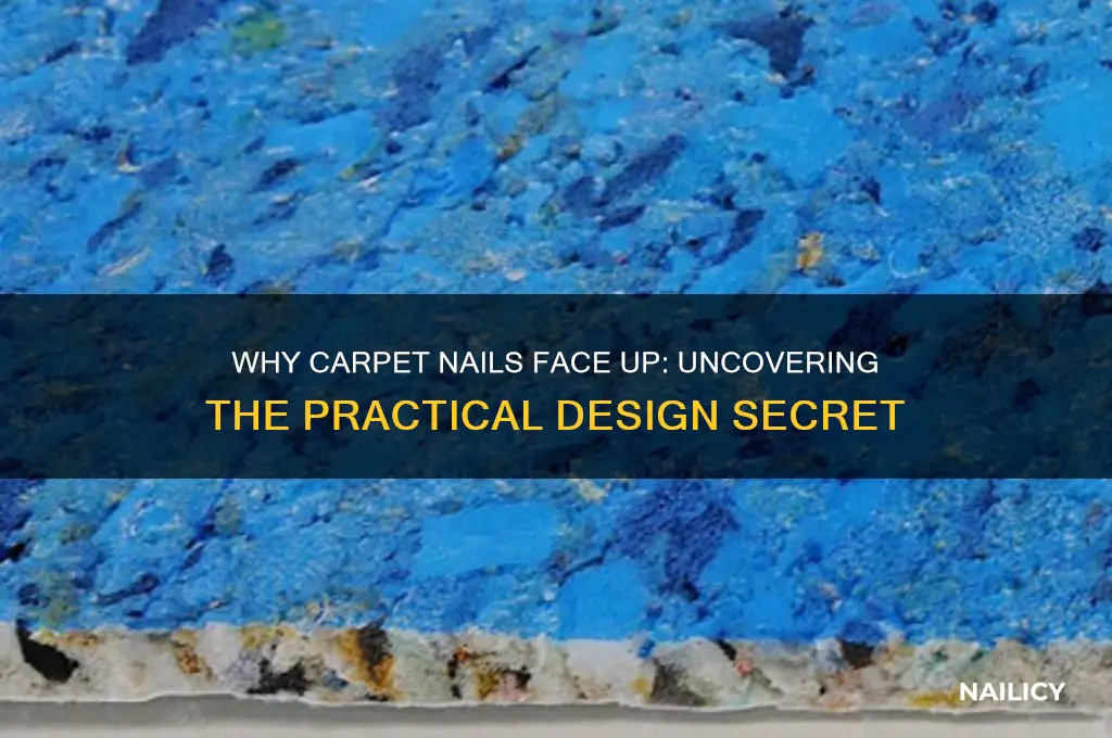 why are nails faced upwards on carpets