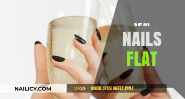 Why Are Nails Flat? Exploring the Science Behind Nail Shape