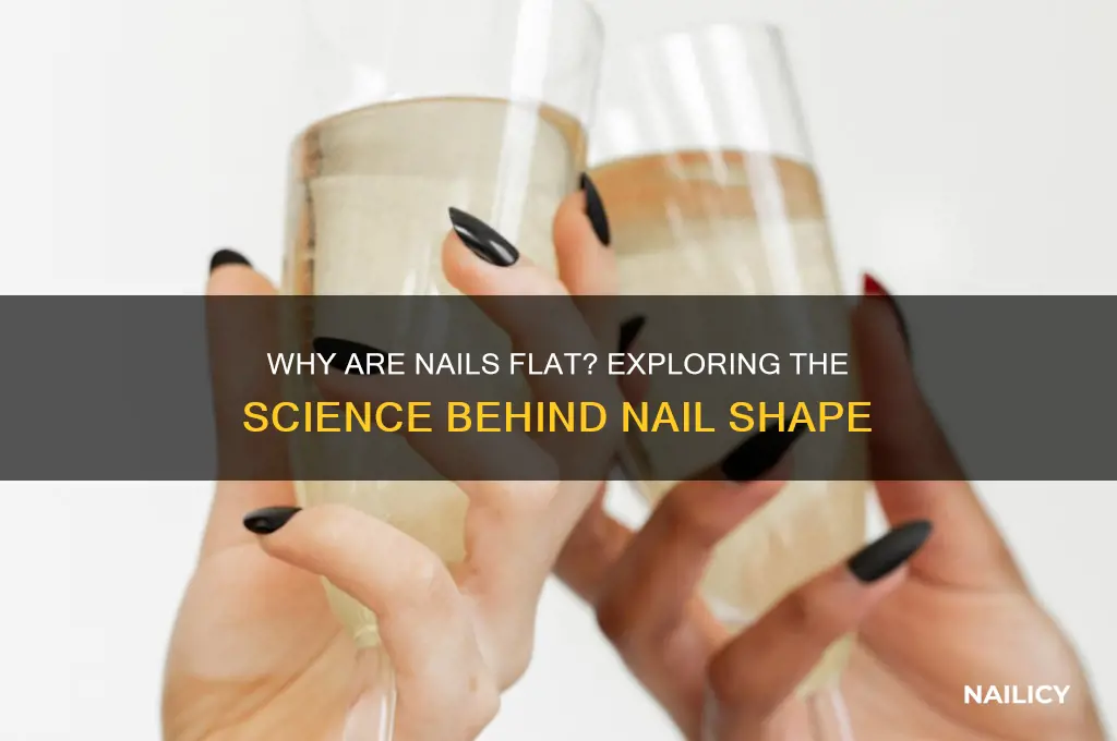 why are nails flat