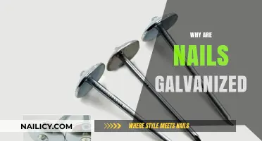 Why Galvanized Nails Are Essential for Long-Lasting Construction Projects