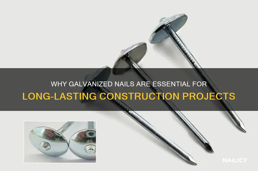 why are nails galvanized