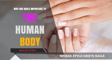The Surprising Importance of Nails in Human Health and Function
