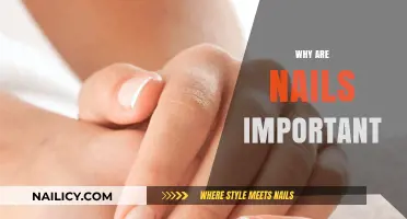 The Surprising Importance of Nails: Function, Health, and Beauty Insights