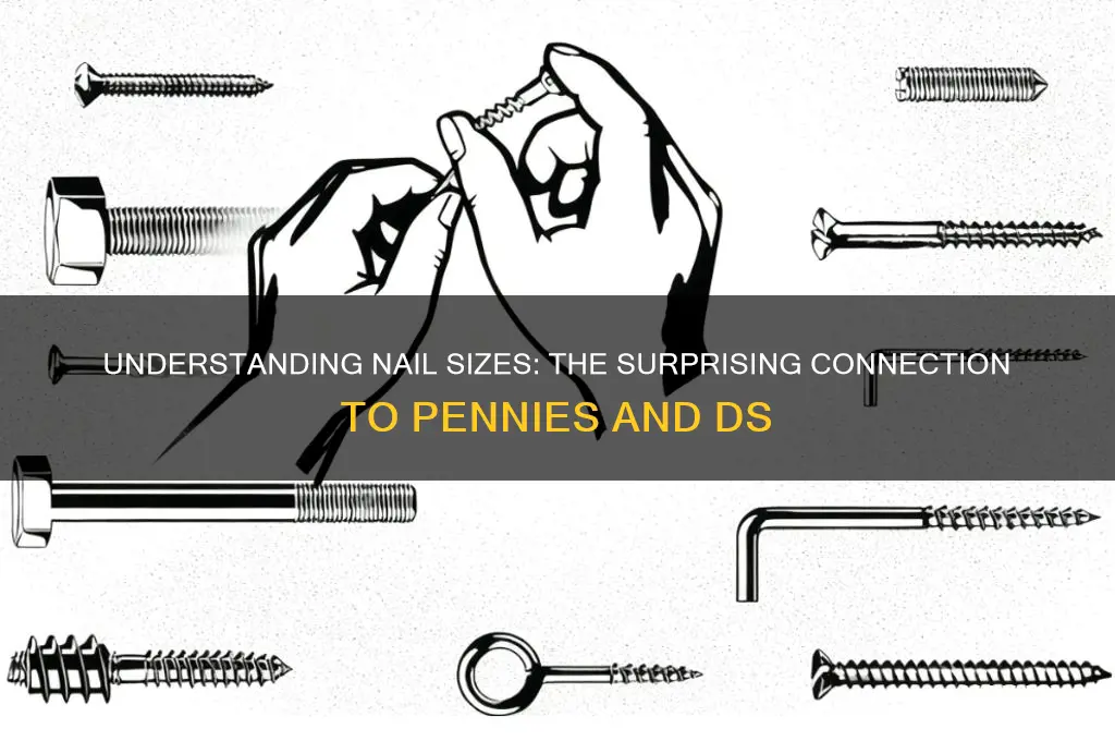 why are nails measured in ds pennys