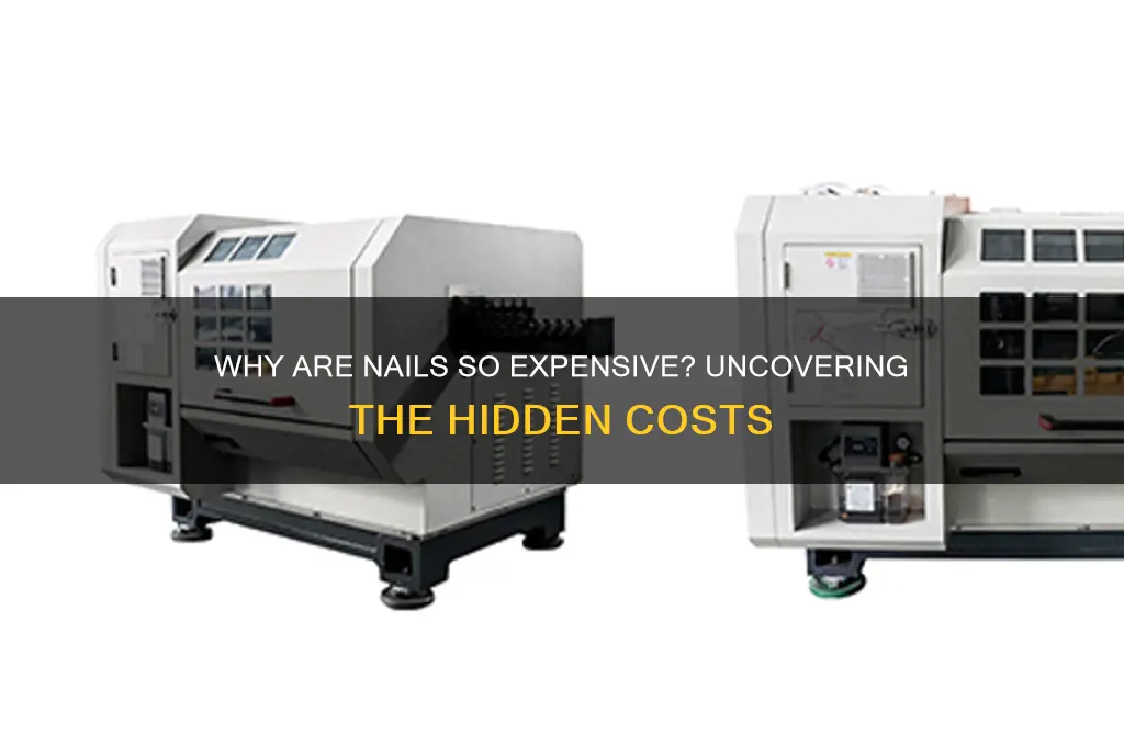 why are nails so expensive