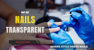Why Are Nails Transparent? Unveiling the Science Behind Clear Fingertips
