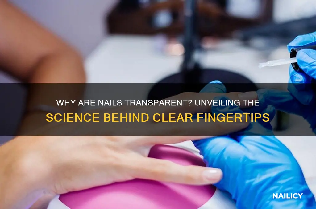 why are nails transparent