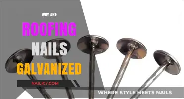 Why Roofing Nails Are Galvanized: Essential Protection for Longevity