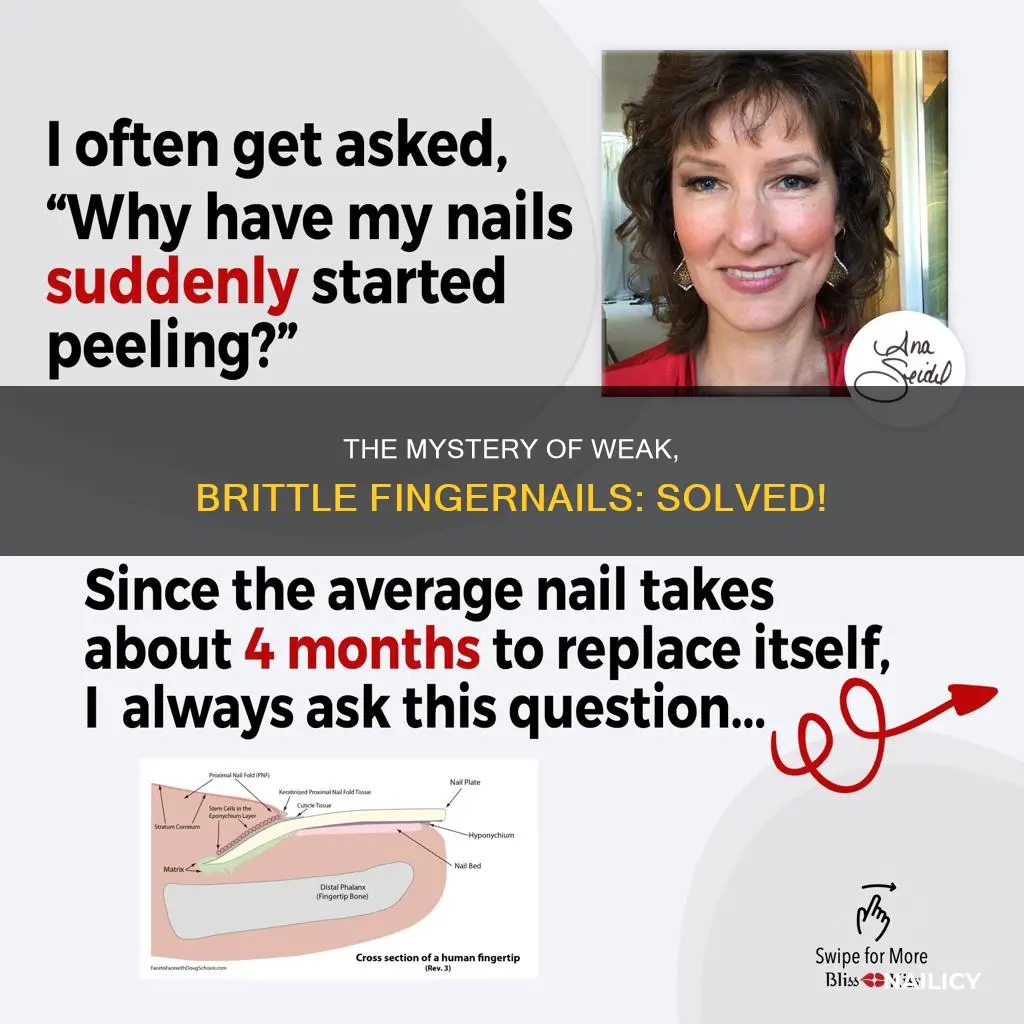 why are run finger nails always weaker