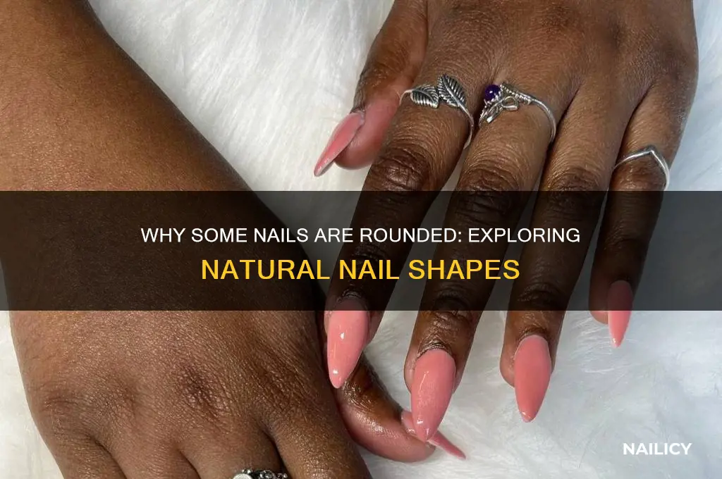why are some nails rounded