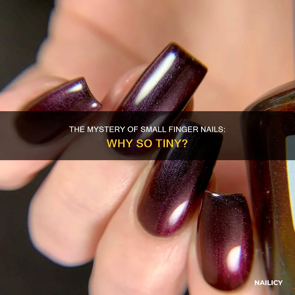 why are some peoples finger nails so much smaller