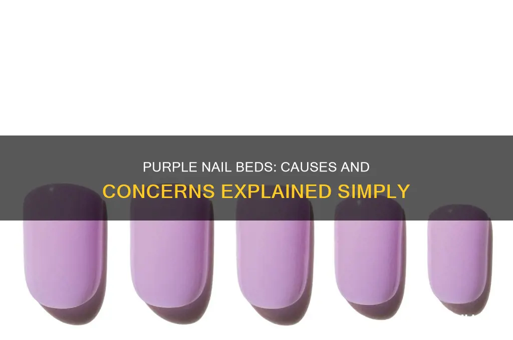 why are the bottoms of my nails purple