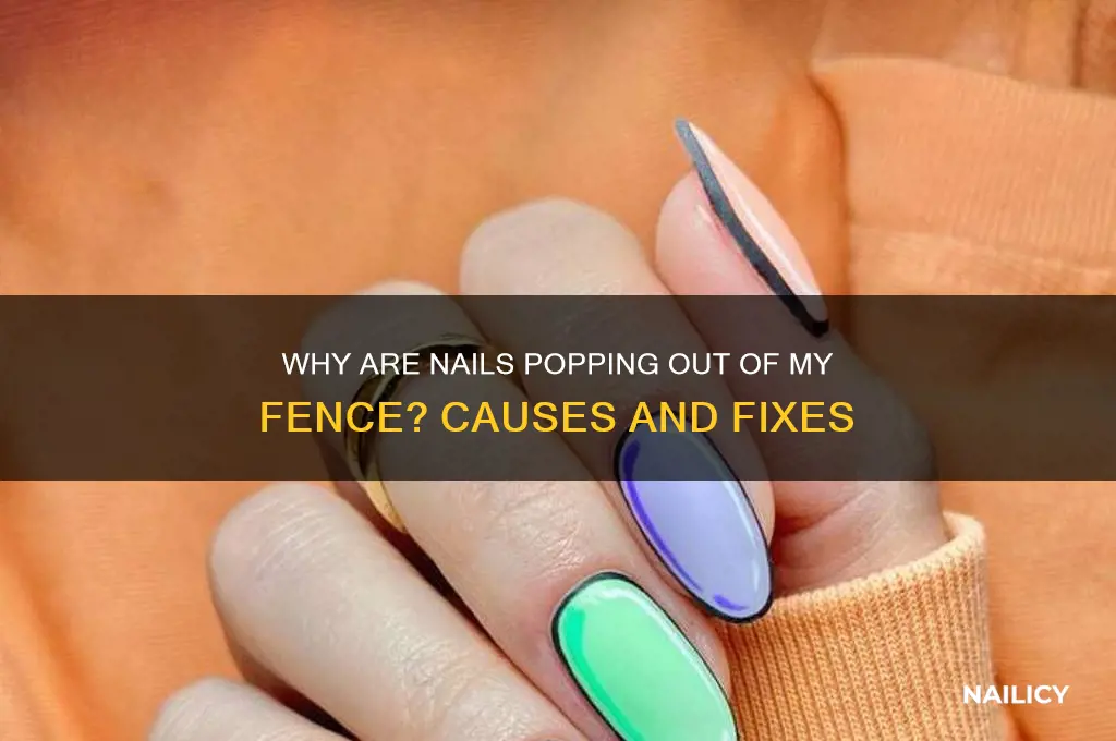 why are the nails coming out of myfence
