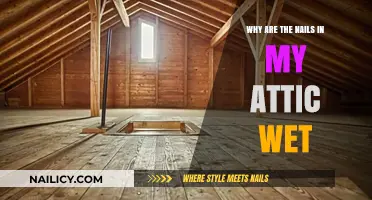 Why Are My Attic Nails Wet? Causes and Solutions Explained
