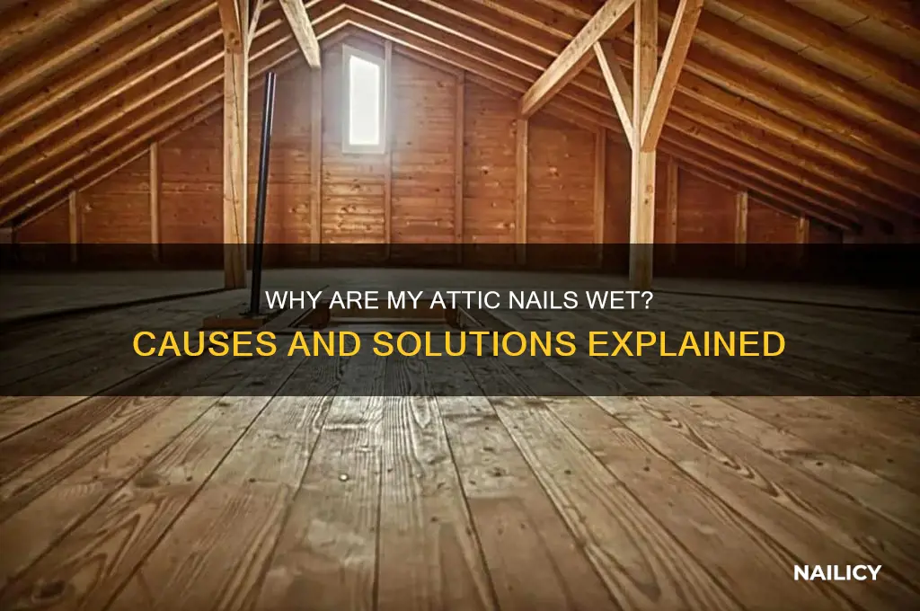 why are the nails in my attic wet