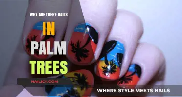 Uncovering the Mystery: Why Nails Appear in Palm Trees