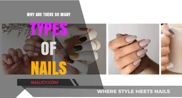 Exploring the Diverse World of Nails: Types, Uses, and Why So Many?