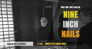 Unveiling the Mystery: The Origin of Nine Inch Nails' Name