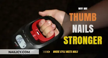 Why Thumb Nails Outlast Others: The Science Behind Their Strength