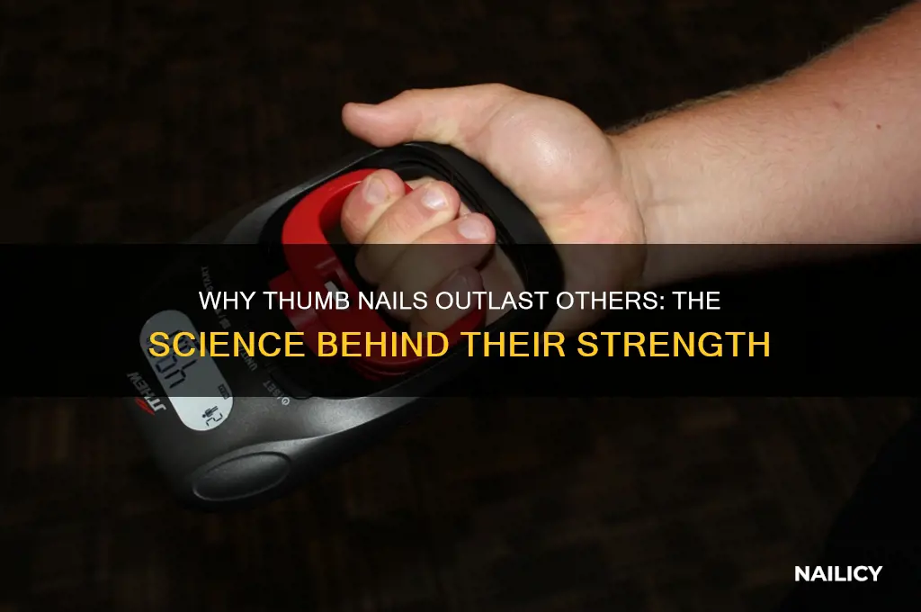 why are thumb nails stronger