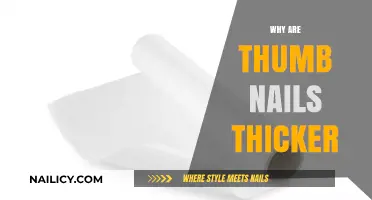 Why Thumbnails Are Thicker: Uncovering the Science Behind Nail Growth