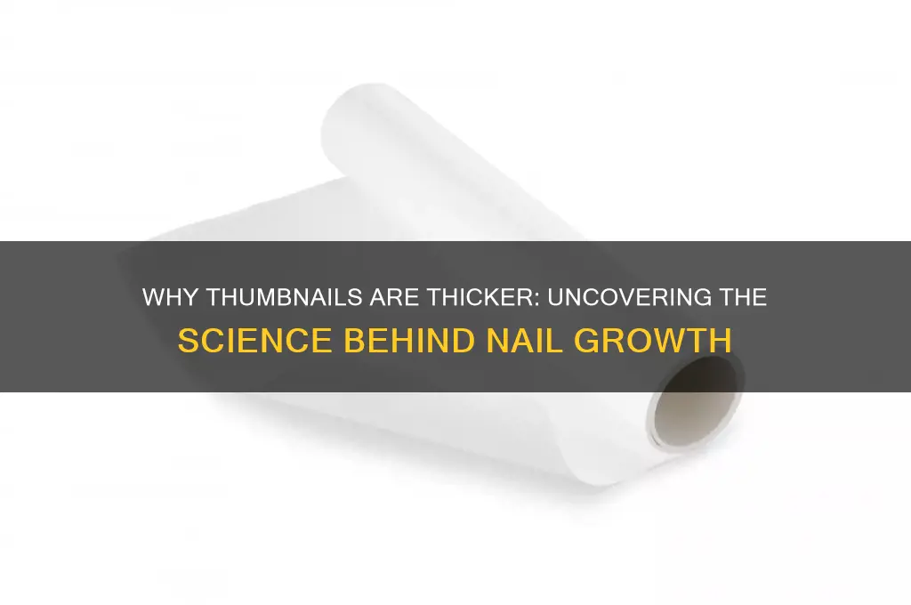 why are thumb nails thicker