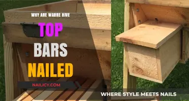 Why Warre Hive Top Bars Are Nailed: Purpose and Benefits Explained