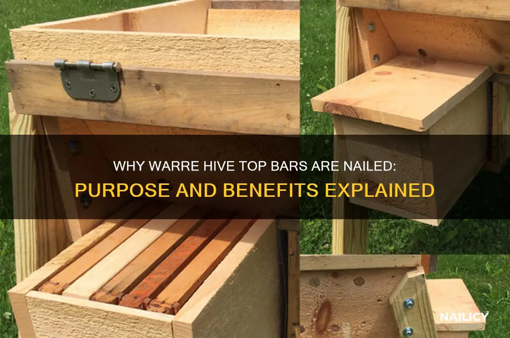 why are warre hive top bars nailed