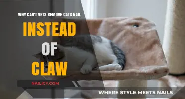 Vets Can't Remove Cats' Nails: Here's Why
