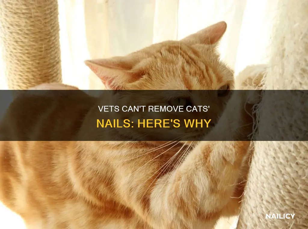 why can
