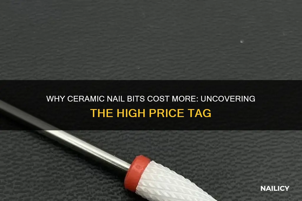 why ceramic bits for nails are so expensive